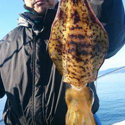 シースナイパー海龍 釣果