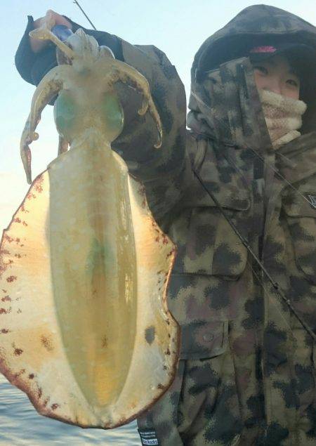 シースナイパー海龍 釣果