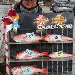 ぽん助丸 釣果