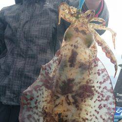 シースナイパー海龍 釣果