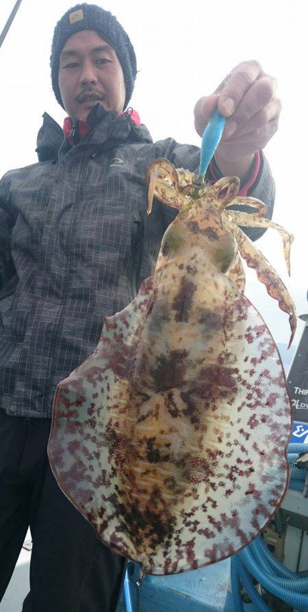 シースナイパー海龍 釣果