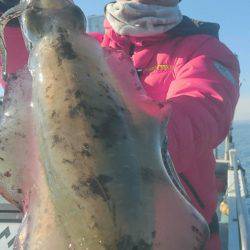 シースナイパー海龍 釣果