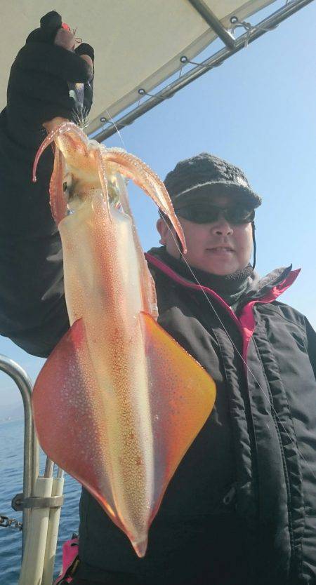 シースナイパー海龍 釣果