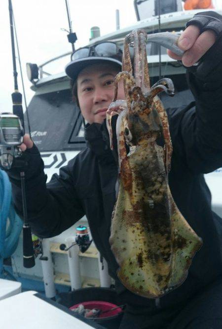 シースナイパー海龍 釣果