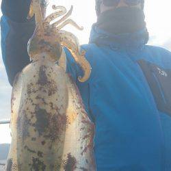 シースナイパー海龍 釣果