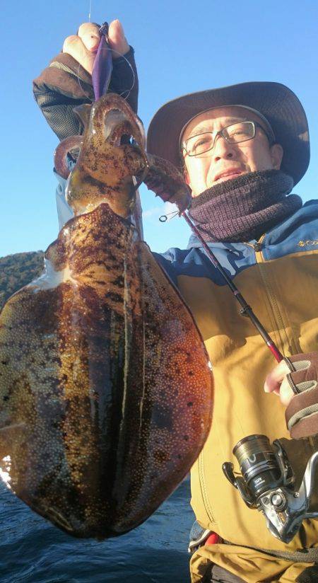 シースナイパー海龍 釣果