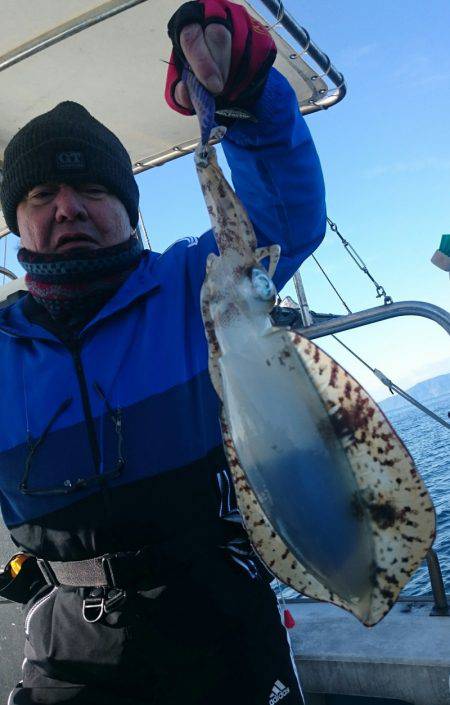 シースナイパー海龍 釣果