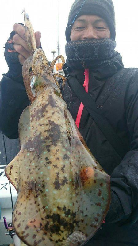 シースナイパー海龍 釣果