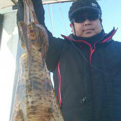 シースナイパー海龍 釣果