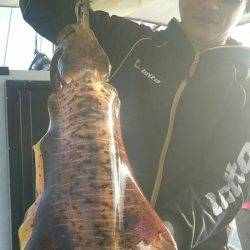 シースナイパー海龍 釣果