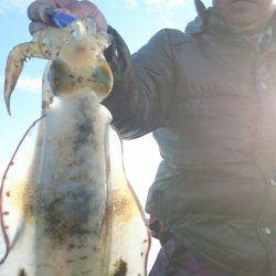 シースナイパー海龍 釣果