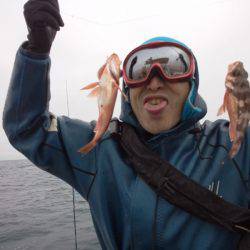 ひな丸 釣果