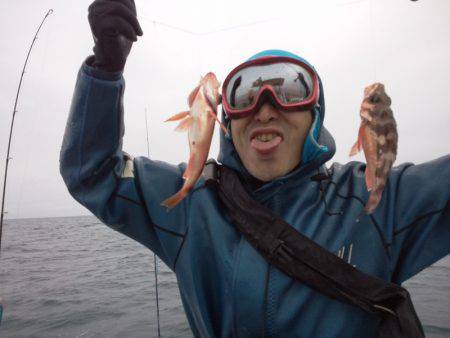 ひな丸 釣果