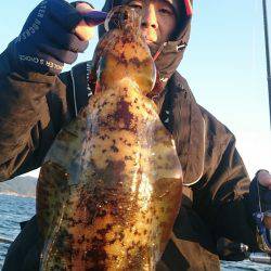 シースナイパー海龍 釣果