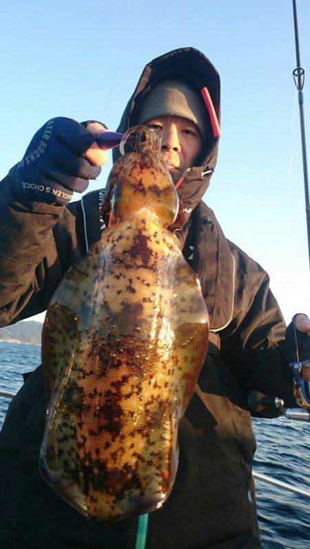 シースナイパー海龍 釣果
