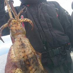 シースナイパー海龍 釣果