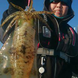 シースナイパー海龍 釣果