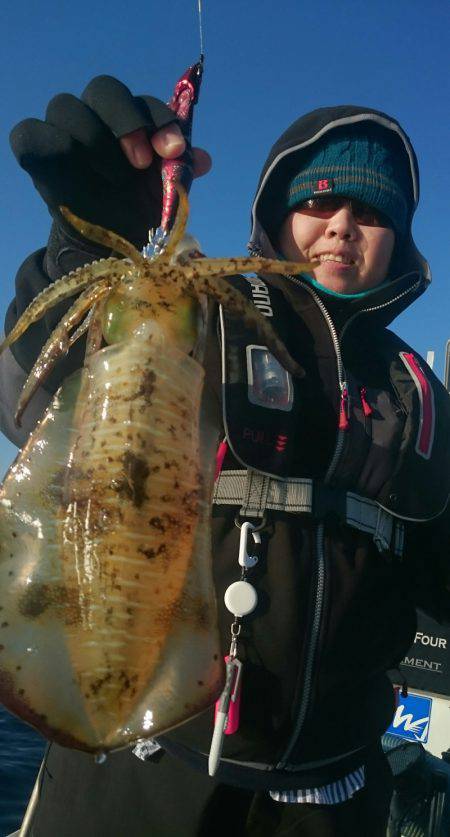 シースナイパー海龍 釣果