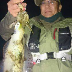 シースナイパー海龍 釣果