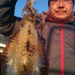 シースナイパー海龍 釣果