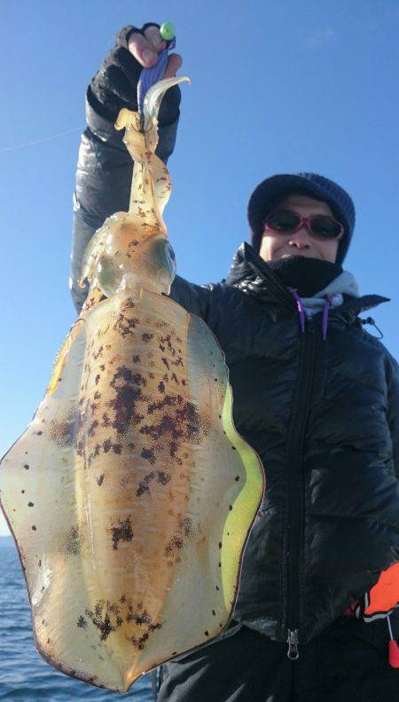 シースナイパー海龍 釣果