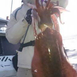 シースナイパー海龍 釣果