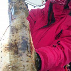 シースナイパー海龍 釣果