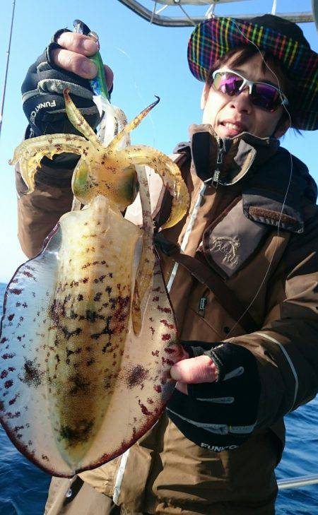 シースナイパー海龍 釣果