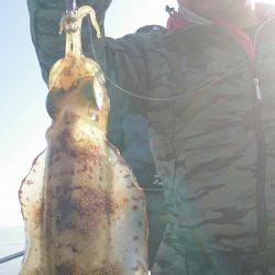 シースナイパー海龍 釣果