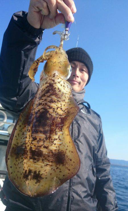 シースナイパー海龍 釣果