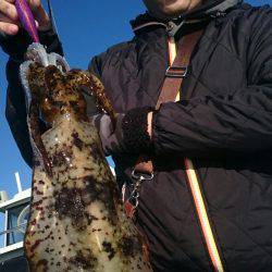 シースナイパー海龍 釣果