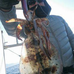 シースナイパー海龍 釣果