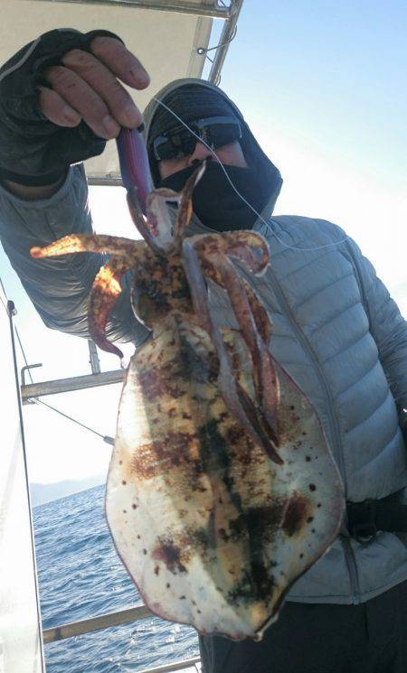 シースナイパー海龍 釣果