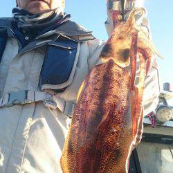 シースナイパー海龍 釣果