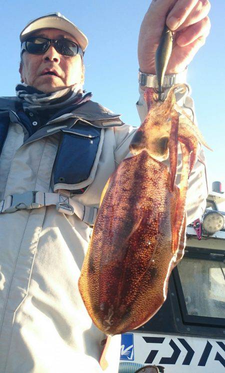 シースナイパー海龍 釣果