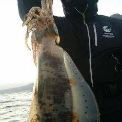 シースナイパー海龍 釣果