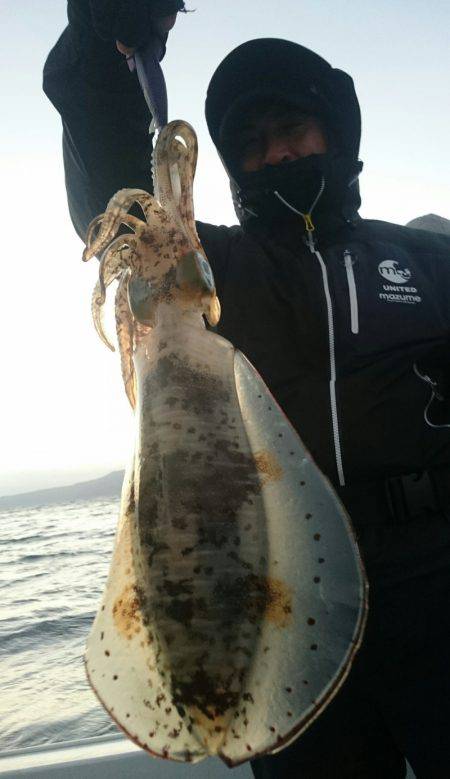 シースナイパー海龍 釣果