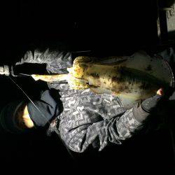 宮崎 福丸 釣果