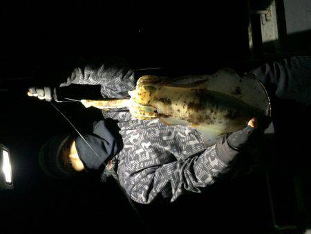 宮崎　福丸 釣果