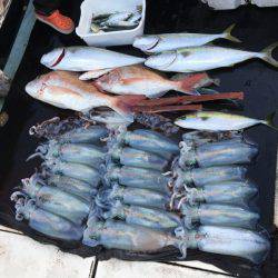 第八 源洋丸 釣果