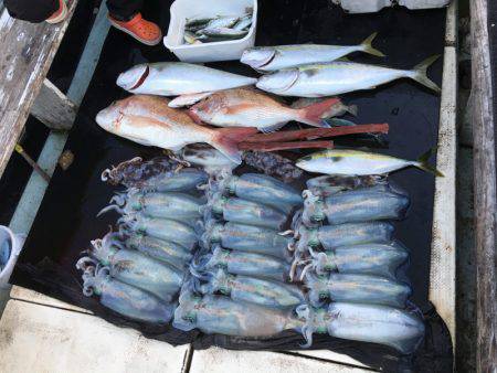 第八 源洋丸 釣果