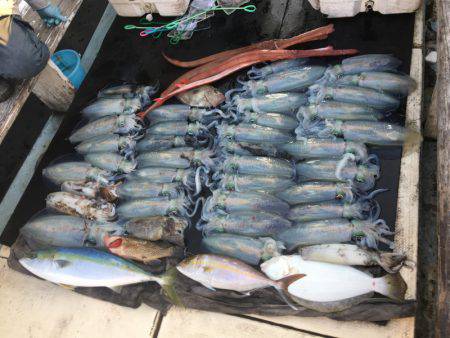 第八 源洋丸 釣果