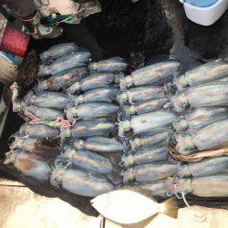 第八 源洋丸 釣果