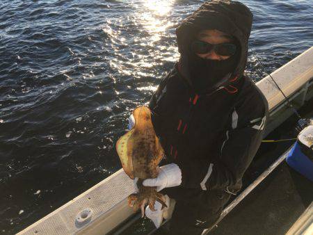 第八 源洋丸 釣果