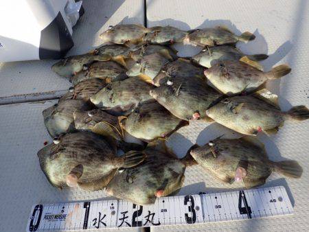 水天丸 釣果