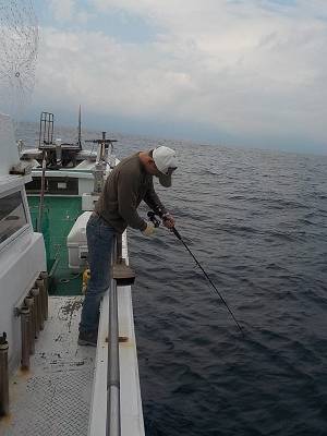 明日丸 釣果