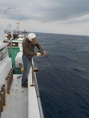 明日丸 釣果