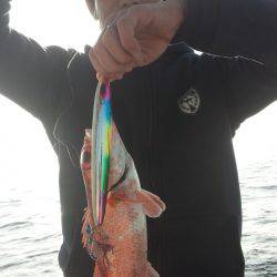 香織丸 釣果