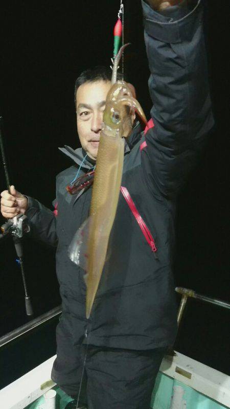 シードリーム 釣果