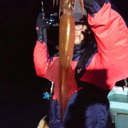 シードリーム 釣果